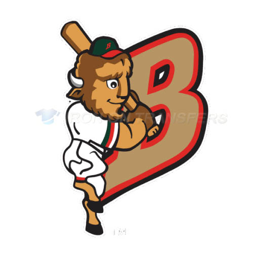 Buffalo Bisons Iron-on Stickers (Heat Transfers)NO.7936